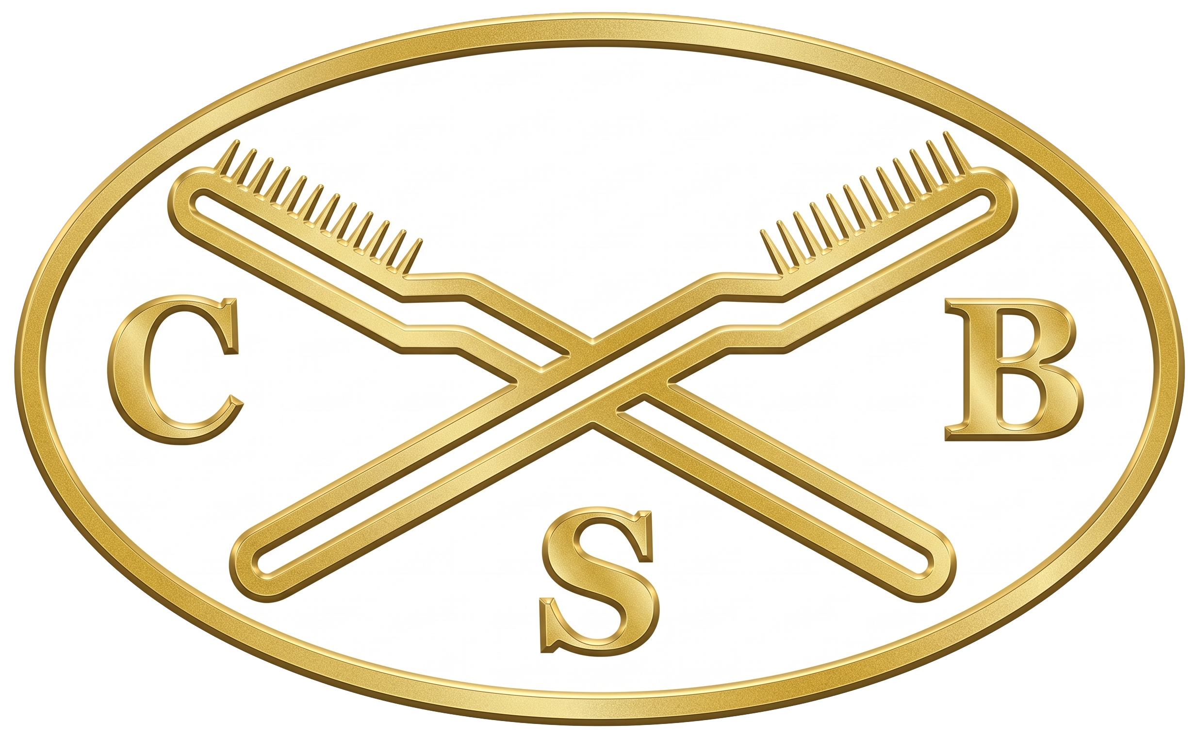 CSB Logo